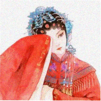 桔子粉丝